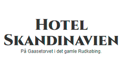 hotel-skandinavien-logo